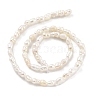 Natural Keshi Pearl Cultured Freshwater Pearl Beads Strands PEAR-P062-21-3