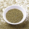 MIYUKI Delica Beads SEED-X0054-DB2046-2