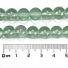 Frosted Transparent Glass Bead Strands GLAA-P065-10mm-04-3