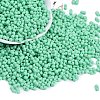 Baking Paint Glass Seed Beads SEED-K010-A07-1