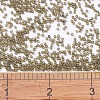 MIYUKI Delica Beads SEED-J020-DB0384-4