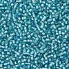 TOHO Round Seed Beads X-SEED-TR11-0023F-2