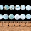Natural Larimar Beads Strands G-F675-08-6