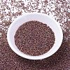 MIYUKI Delica Beads SEED-JP0008-DB1013-1