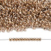 TOHO 11/0 Round Beads X-SEED-TR11-0989-4
