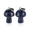 Natural Sodalite Pendants G-N0325-10K-2