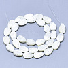 Natural Trochid Shell/Trochus Shell Beads SSHEL-N036-046-2