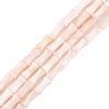 Natural Freshwater Shell Beads Strands SHEL-G013-01L-1