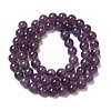 Natural Gemstone Beads Strands G-S035-6