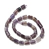 Natural Lepidolite/Purple Mica Stone Beads Strands G-K245-I16-01-3