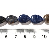 Natural Sodalite Beads Strands G-I377-A09-5