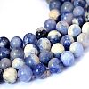 Olycraft Natural Sodalite Round Bead Strands G-OC0001-48-4