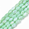 Natural Freshwater Shell Beads Strands SHEL-N003-25-B03-1