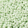 Opaque Colours Luster Glass Seed Beads X1-SEED-B001-01A-10-3