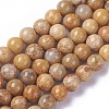 Natural Fossil Coral Beads Strands G-F648-02-C-1