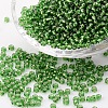 8/0 Glass Seed Beads SEED-US0003-3mm-27B-1