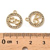 304 Stainless Steel with Crystal Rhinestone Charms STAS-G358-20G-3