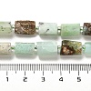 Natural Chrysoprase Beads Strands G-N327-03-36-5