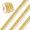 5 Yards Velvet Organza Ribbon SRIB-TA0001-36C-2
