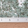 MIYUKI Delica Beads SEED-J020-DB2379-4