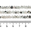 Natural Sesame Jasper Beads Strands G-M403-A40-01-5