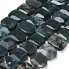 Natural Moss Agate Beads Strands G-C285-A13-01-2