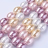 Shell Pearl Beads Strands BSHE-P030-03-3