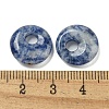 Natural Blue Spot Jasper Donut/Pi Disc Charms G-G142-02E-3