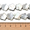Natural Black Lip Shell Beads Strands SHEL-M021-02B-4