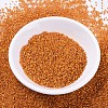 MIYUKI Delica Beads X-SEED-J020-DB0681-2