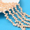 Natural Cultured Freshwater Pearl Beads Strands PEAR-I007-04I-01A-1