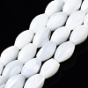 Natural Trochid Shell/Trochus Shell Beads Strands SSHEL-S266-021A-02-1