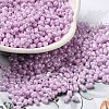 Glass Seed Beads SEED-K009-02A-06-1