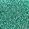 MIYUKI Delica Beads SEED-X0054-DB2505-2