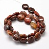 Flat Round Natural Brecciated Jasper Beads Strands G-L289-08-2