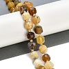 Natural Yellow Opal Beads Strands G-B125-O06-01-2