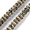 Natural Dalmatian Jasper Beads Strands G-P559-A01-01-1