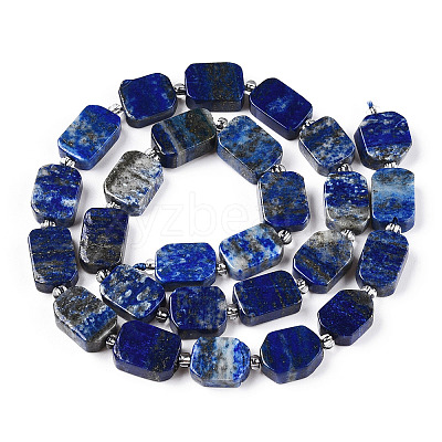 Natural Lapis Lazuli Beads Strands G-T138-14-1