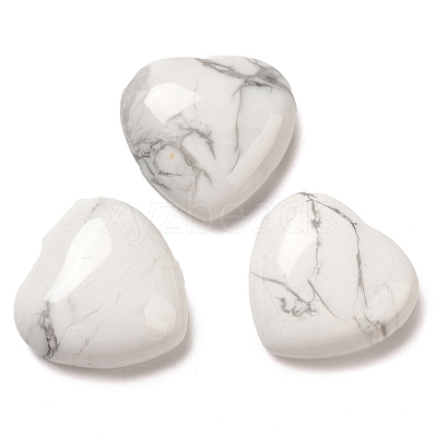 Natural Howlite Cabochons G-F776-02A-24-1