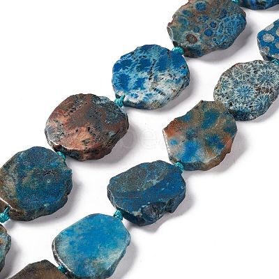 Natural Fossil Coral Beads Strands G-F719-25-1