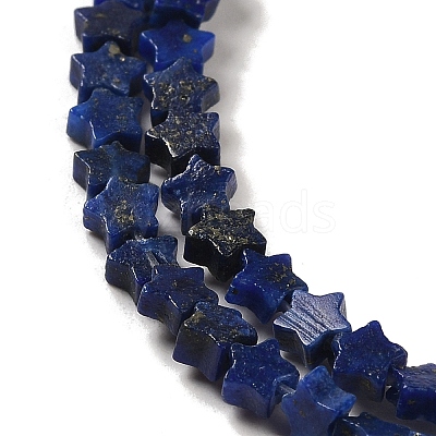 Natural Lapis Lazuli Beads Strands G-G085-B02-01-1
