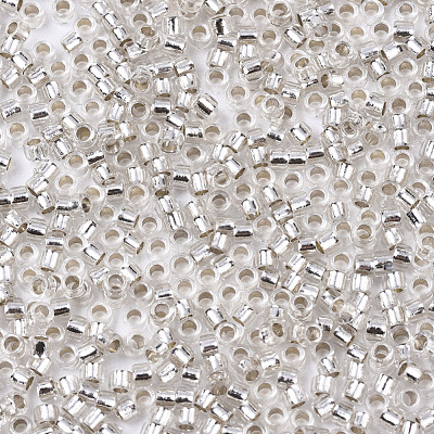 Glass Seed Beads X-SEED-S042-04B-06-1