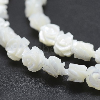 Natural White Shell Beads Strands SSHEL-P015-01A-6mm-1