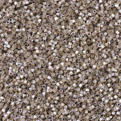 MIYUKI Delica Beads SEED-J020-DB0680-1