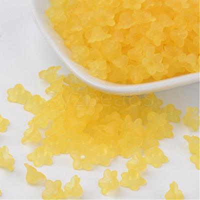 Transparent Acrylic Beads PL554-08-1