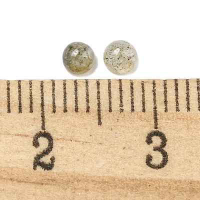 Natural Labradorite Cabochons G-Q173-01A-15-1