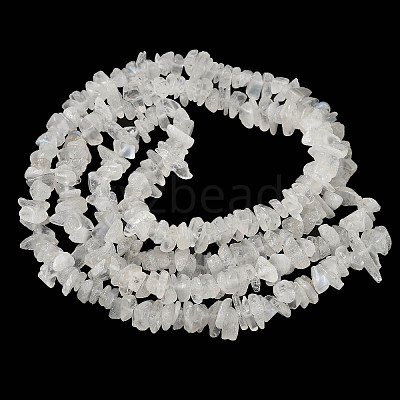 Natural Rainbow Moonstone Chip Beads Strands G-C195-01-1