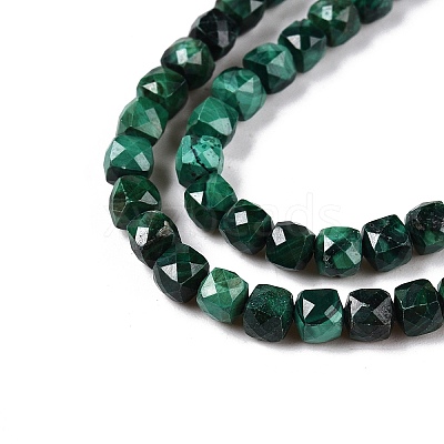 Natural Malachite Beads Strands G-N342-119-1