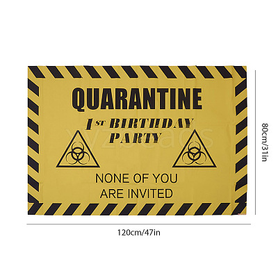 2020 Quarantine Birthday Decorations AJEW-GF0001-64B-1