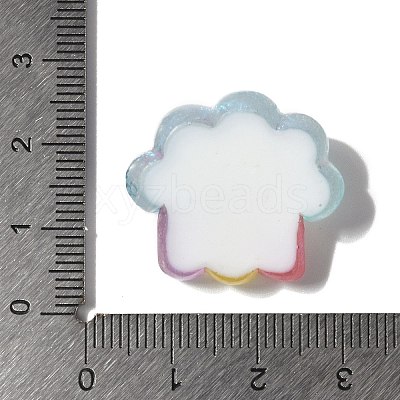 Summer Theme Opaque Resin Cabochons RESI-G106-01D-1